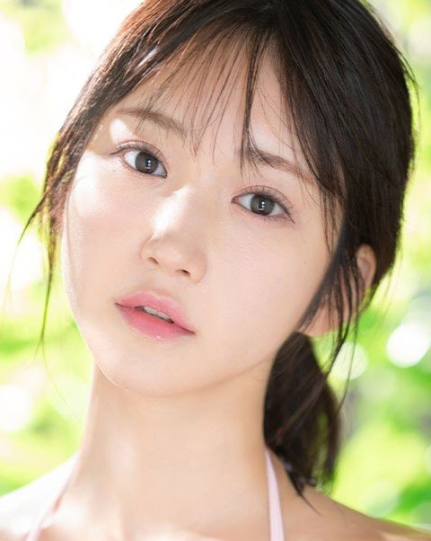 依本しおり